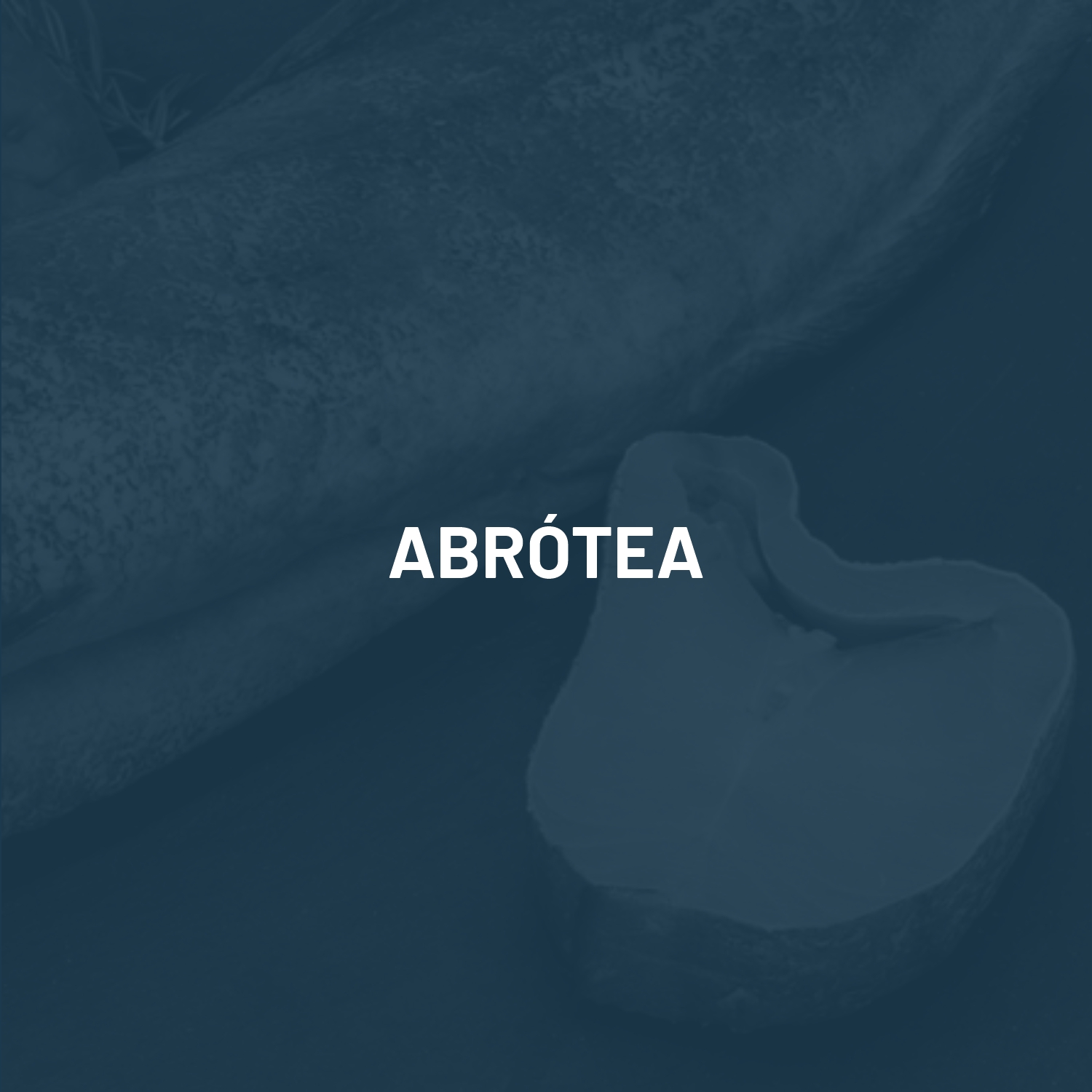 abrotea1