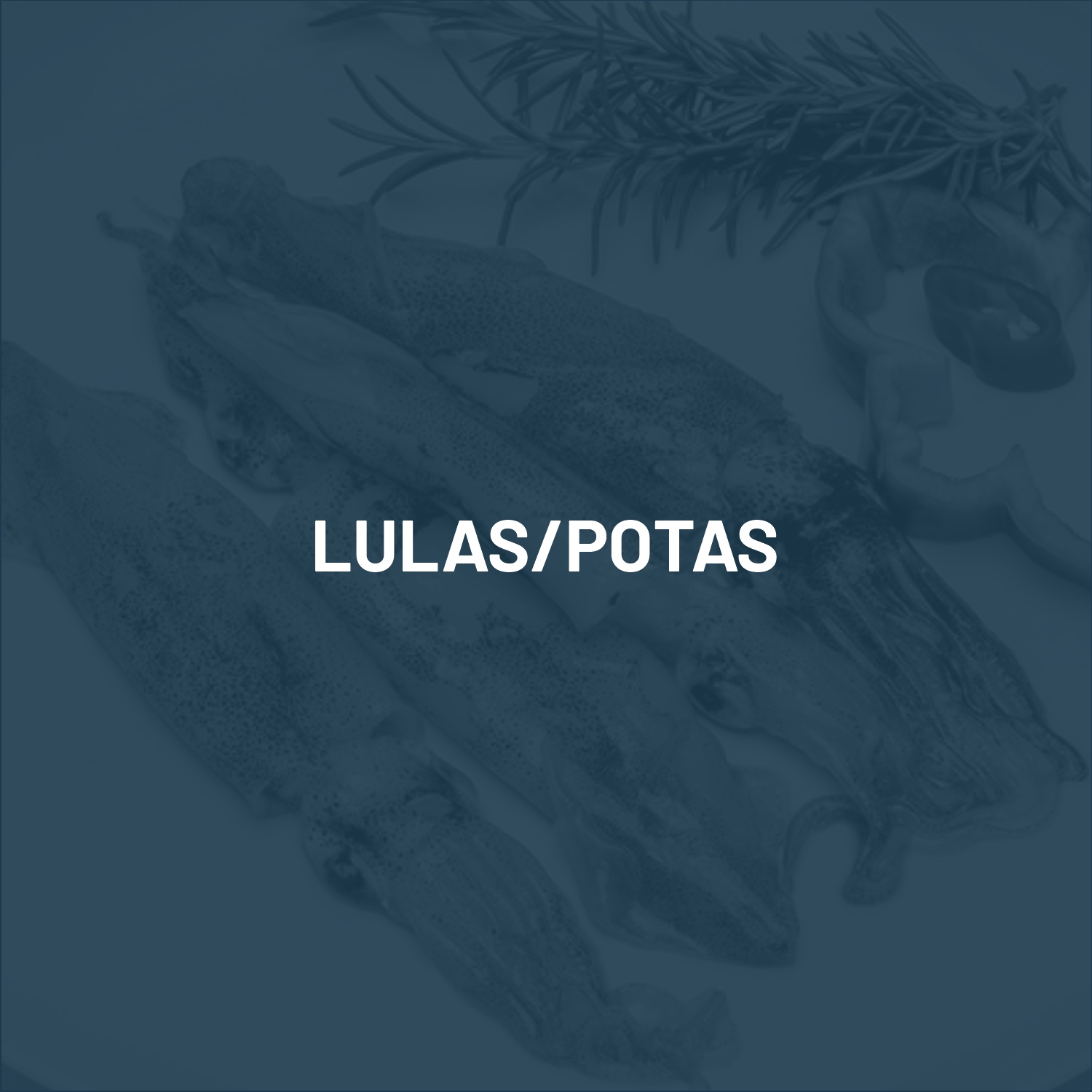 lulas1