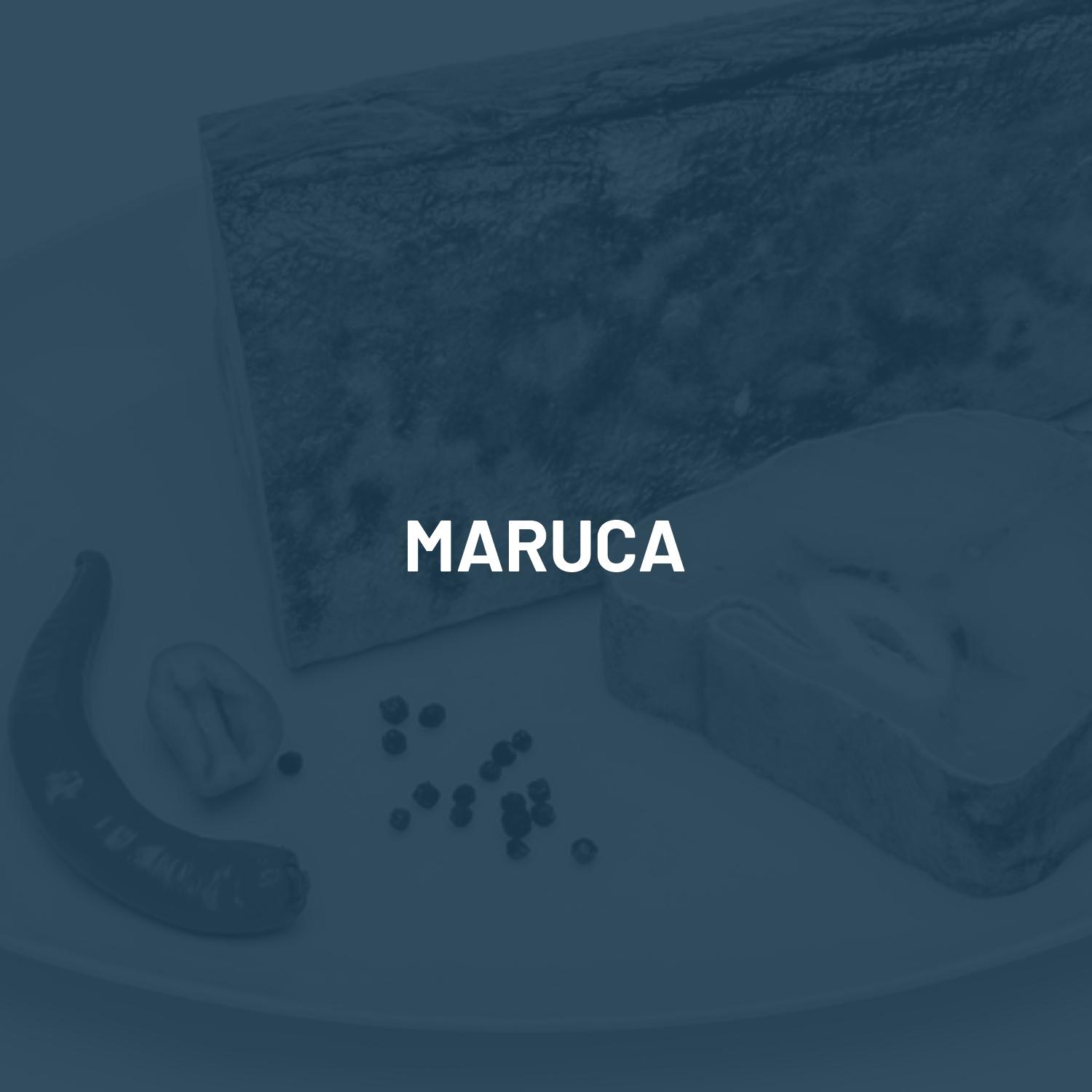 maruca1