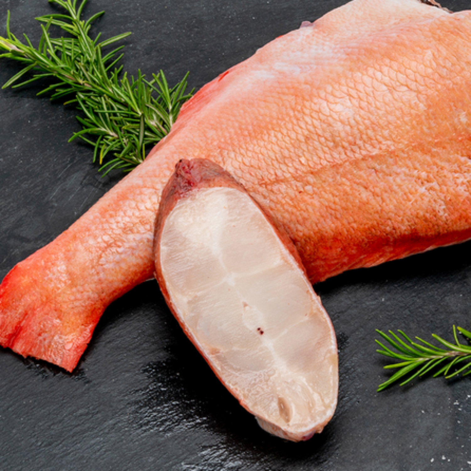 peixe verm