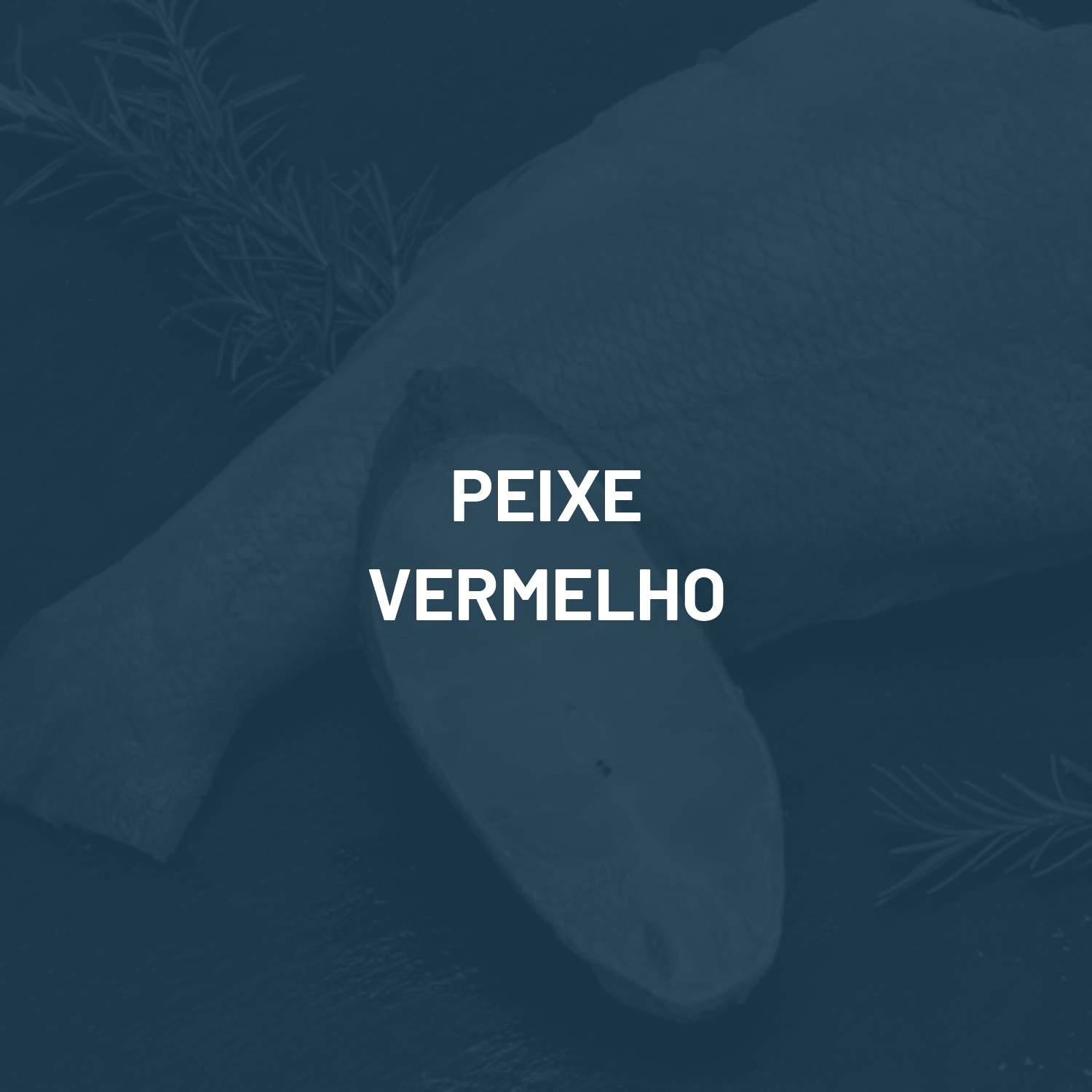 peixe verm1