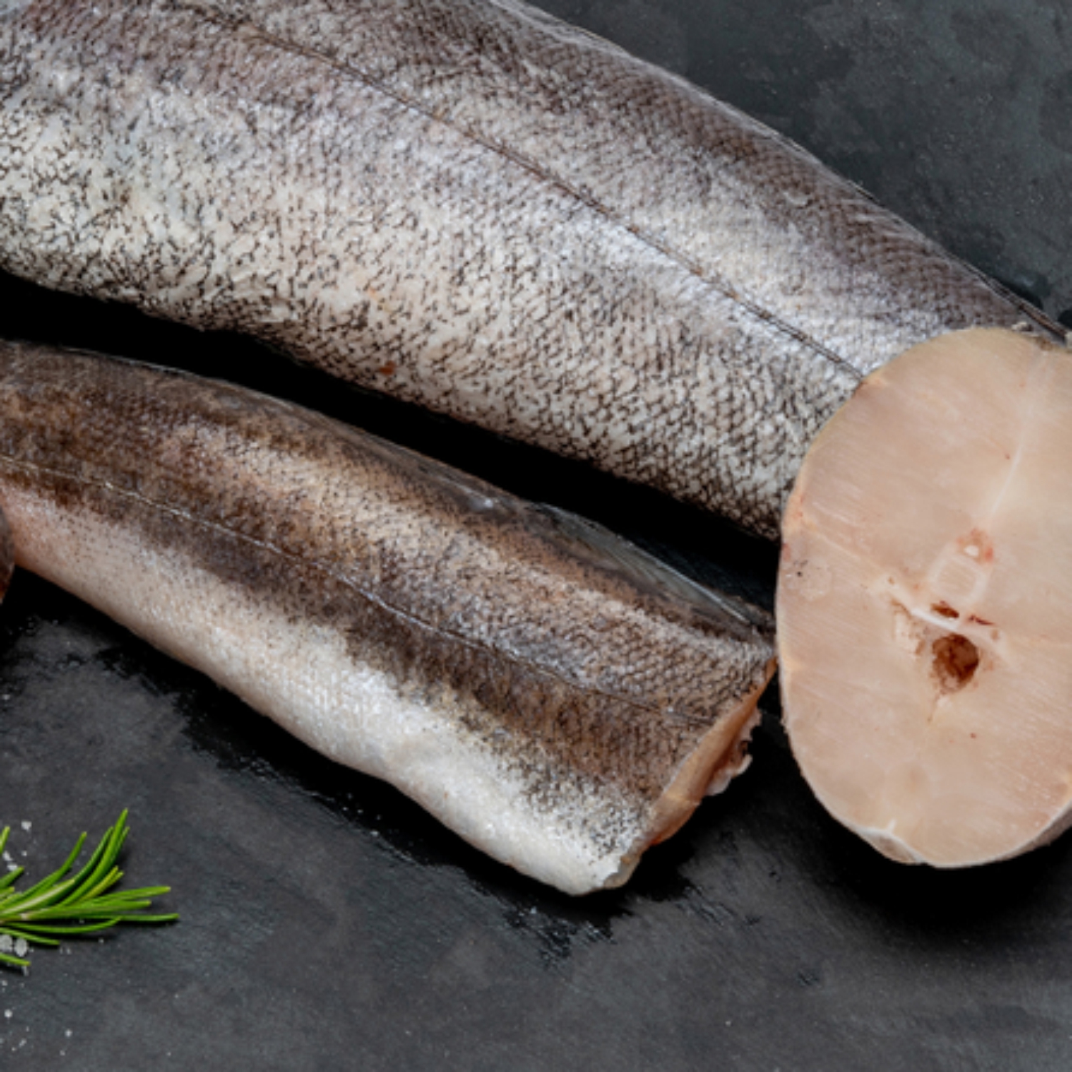 pescada11