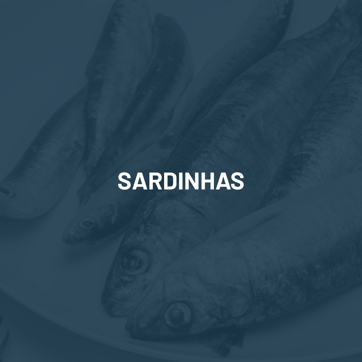 sardinhas1