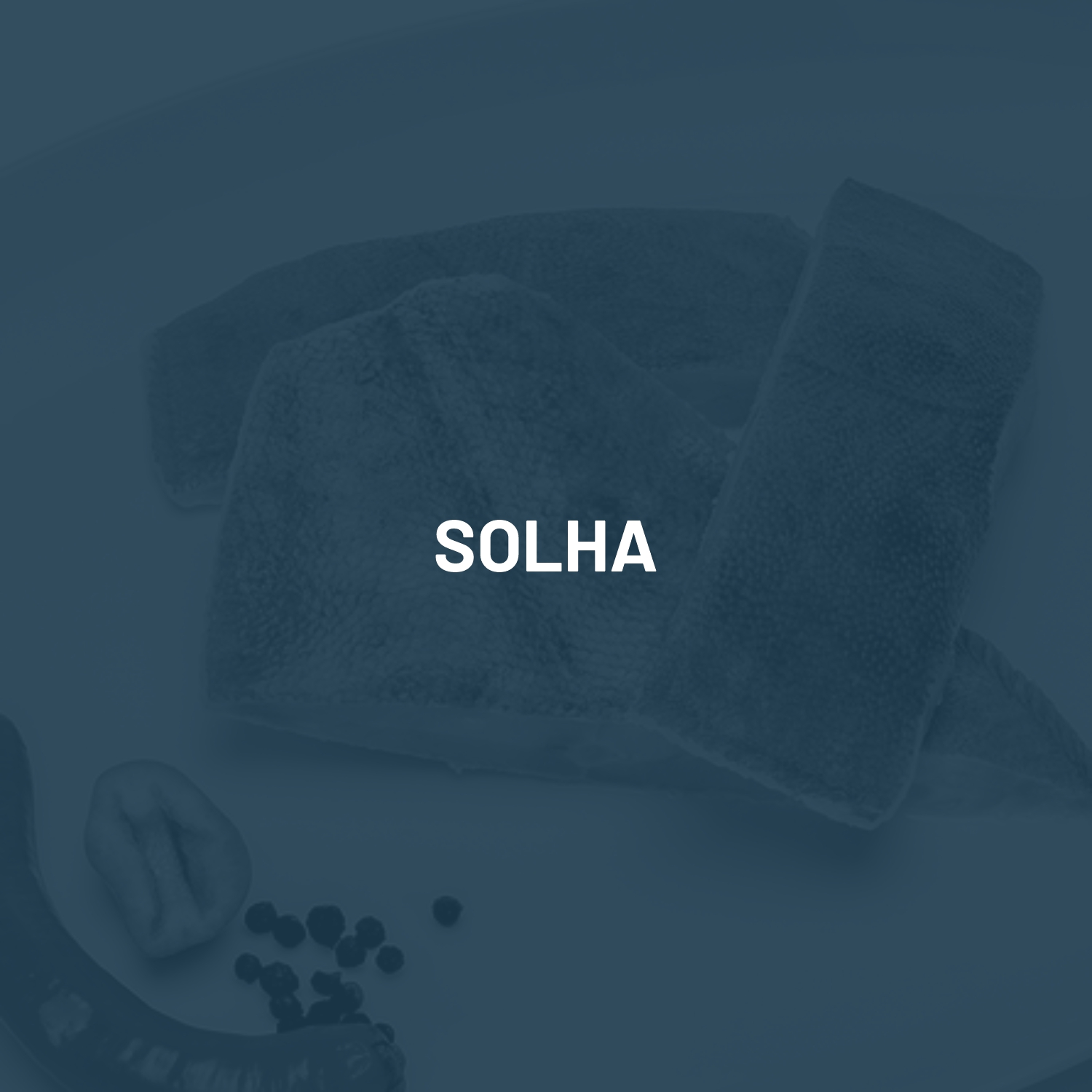 solha1